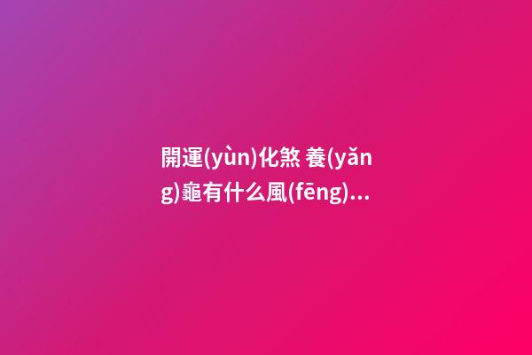 開運(yùn)化煞 養(yǎng)龜有什么風(fēng)水講究
